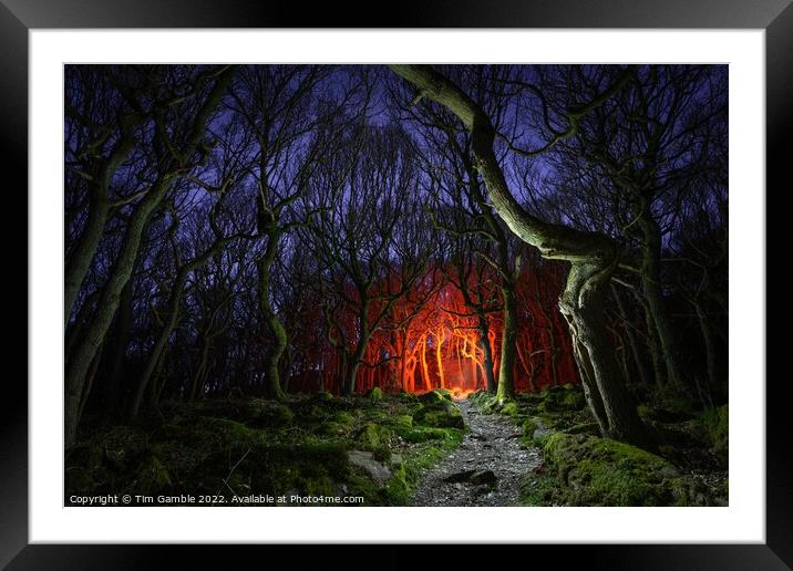 Fantasy Woodland Scene Framed Mounted Print by Tim Gamble