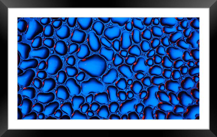 Water Droplets  Framed Mounted Print by Tim Gamble