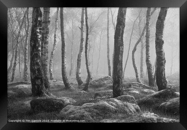 Black and White misty woodland scene Framed Print by Tim Gamble