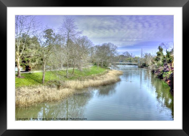 Trees and River Framed Mounted Print by Philip Wojcik