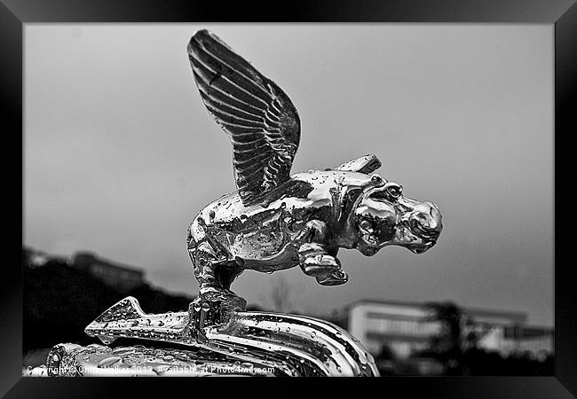 Flying Pig bonnet ornament Framed Print by Chris Walker