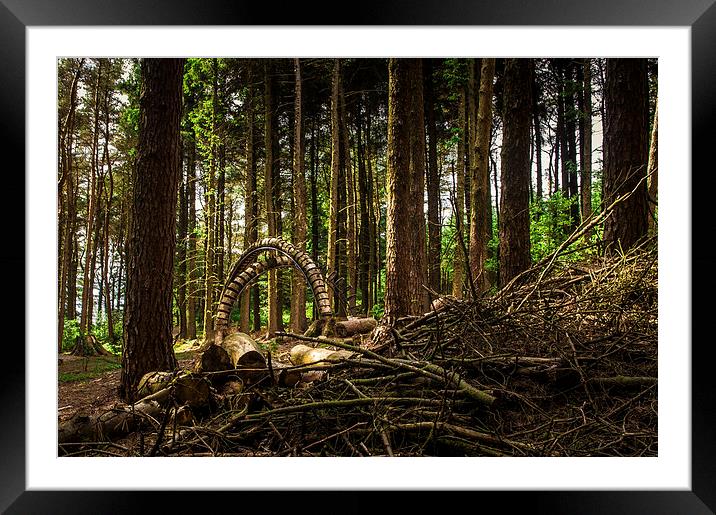 Strange thing in the Woods, Lancashire Framed Mounted Print by Chris Walker