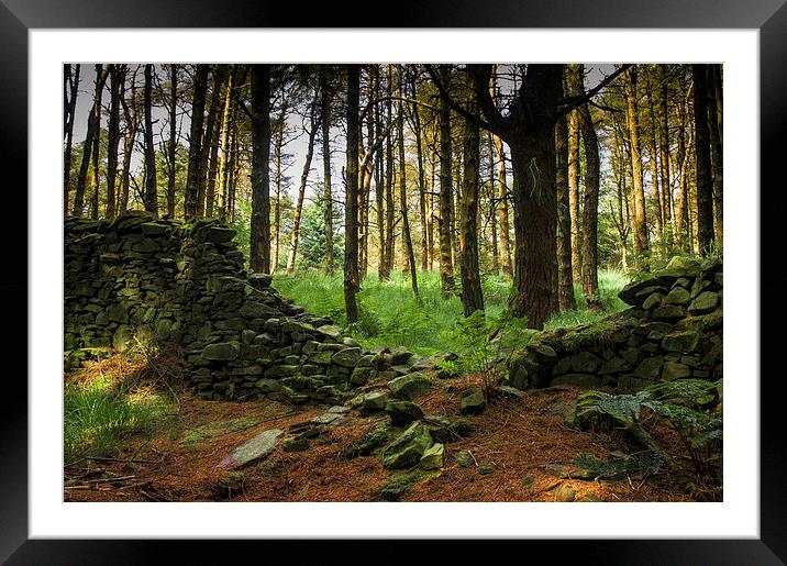  Fairytale Forest Framed Mounted Print by Chris Walker