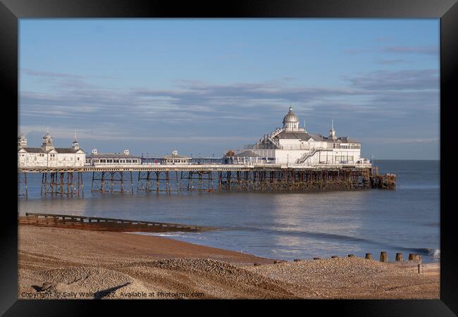 Eastbourne Pier late evening light Framed Print by Sally Wallis