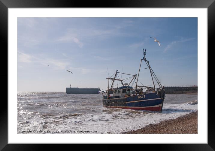 Fishing boat coming towards the shore at Hastings Framed Mounted Print by Sally Wallis