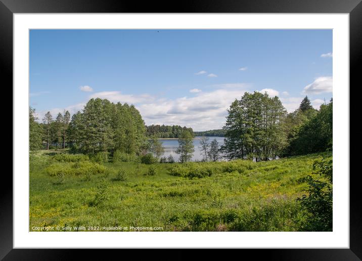 Finnish Lake surrounded by Forests Framed Mounted Print by Sally Wallis