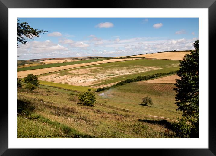 Downland view with bonfire Framed Mounted Print by Sally Wallis
