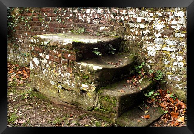 Stone steps Framed Print by Sally Wallis