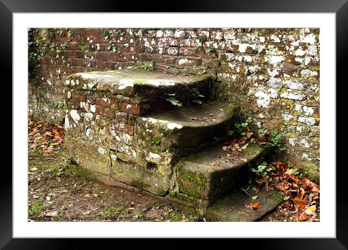 Stone steps Framed Mounted Print by Sally Wallis