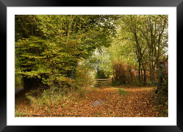 Gate and autumn coloured leaves Framed Mounted Print by Sally Wallis