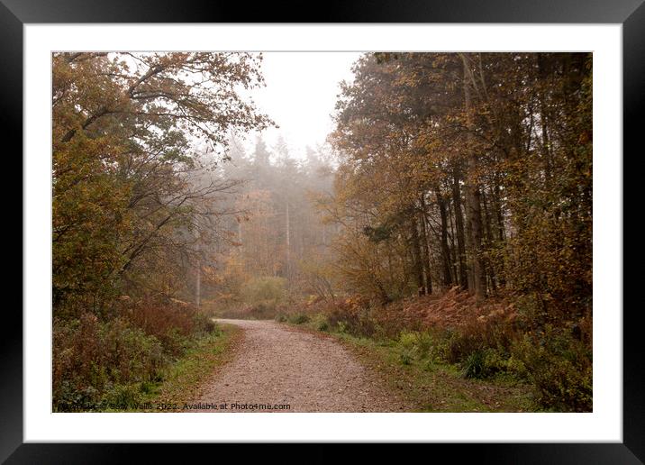 Distant Forest Mist Framed Mounted Print by Sally Wallis