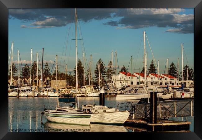 Yacht Marina in evening light Framed Print by Sally Wallis