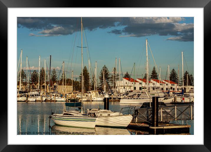 Yacht Marina in evening light Framed Mounted Print by Sally Wallis
