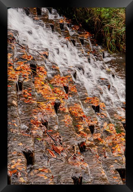 Dead Autumn leaves on Cascade Framed Print by Sally Wallis