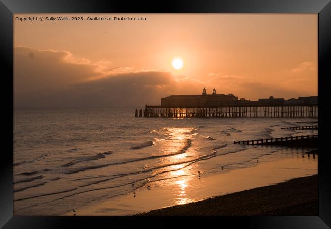 Hastings Pier late evening Framed Print by Sally Wallis