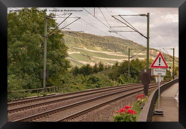 Railway Line Trechtingshausen Framed Print by Sally Wallis