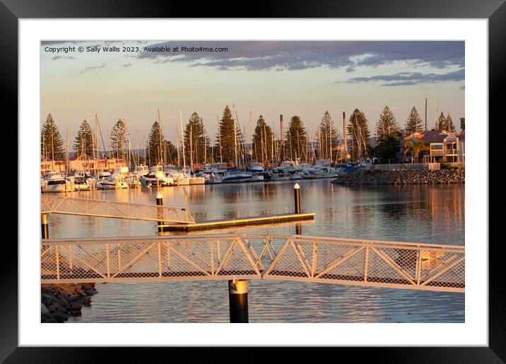 Adelaide Yacht basin Framed Mounted Print by Sally Wallis