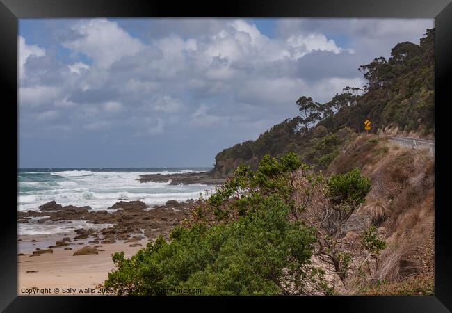 Rollers on the Southern Ocean Framed Print by Sally Wallis