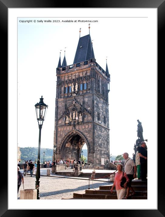 Charles Bridge, Prague Framed Mounted Print by Sally Wallis