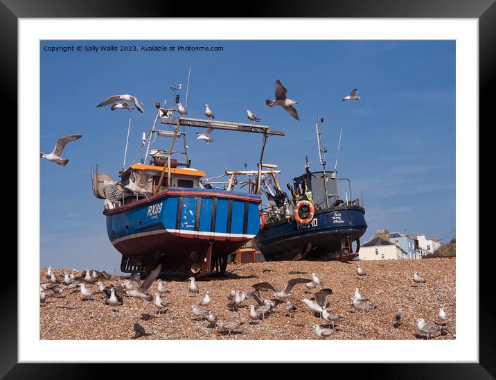 Hastings fishing boats Framed Mounted Print by Sally Wallis