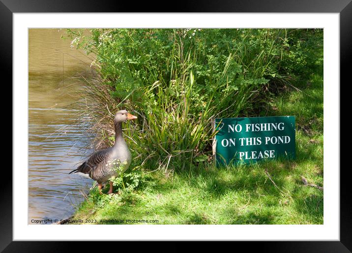 No Fishing ! Framed Mounted Print by Sally Wallis