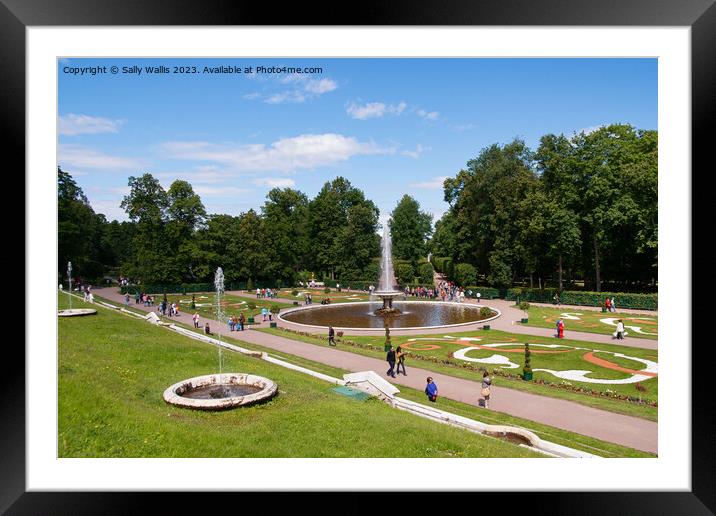 Peterhof Lower Gardens Framed Mounted Print by Sally Wallis