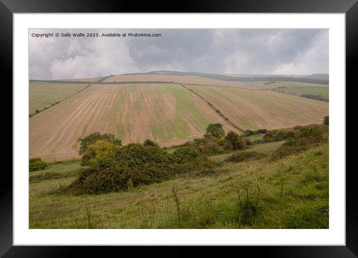 Rolling Hills of South Downs Framed Mounted Print by Sally Wallis