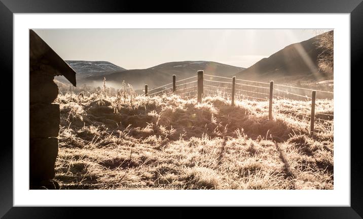 Winter Sun Framed Mounted Print by Andrew MacDonald