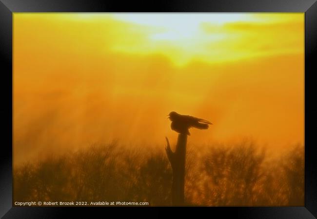 Outdoor Sunset with Bird silhouette on post Framed Print by Robert Brozek