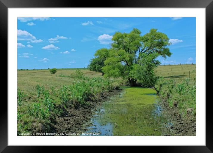 Plant tree in a field with water and blue sky Framed Mounted Print by Robert Brozek