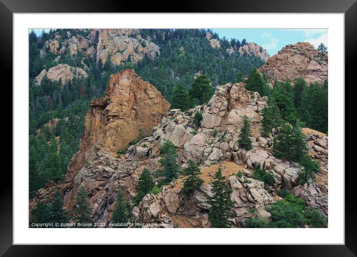 Colorado Rocky Mountains with trees Framed Mounted Print by Robert Brozek