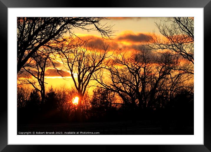  Trees with a sunset in the background with a colo Framed Mounted Print by Robert Brozek