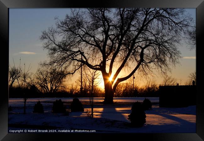 A tree silhouette with the Sun and Snow Framed Print by Robert Brozek