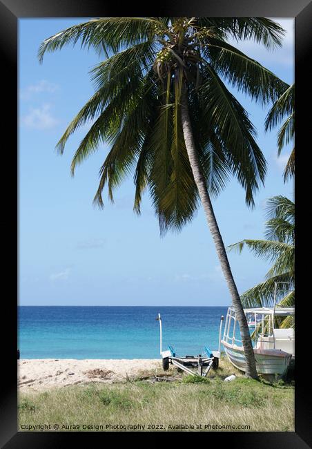 Caribbean Calm Framed Print by Aura9 Design Photography