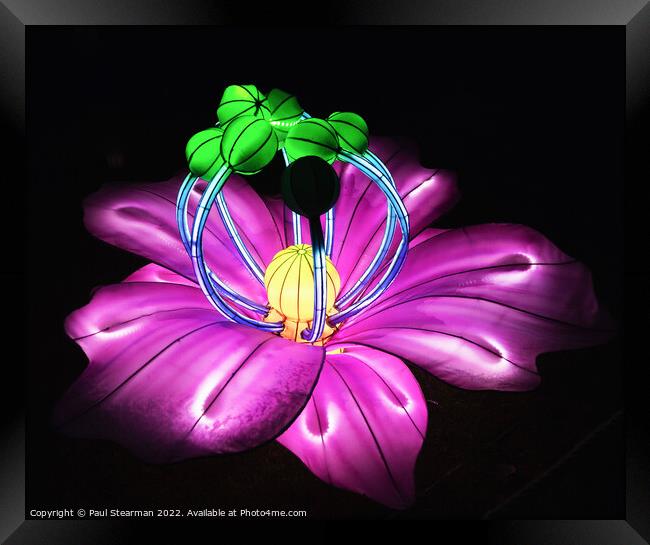 Brightly lit abstract purple, blue, green and yellow flower Framed Print by Paul Stearman