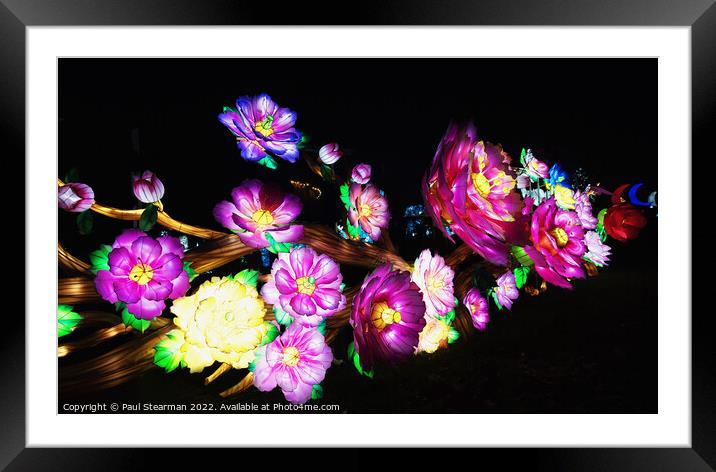 Colourful Abstract Flowers taken at Night Framed Mounted Print by Paul Stearman