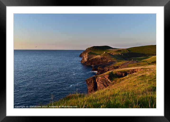 Sunset at Port Quin, North Cornwall Framed Mounted Print by  Garbauske