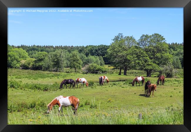 Beautiful panorama of grazing horses on a green meadow during sp Framed Print by Michael Piepgras