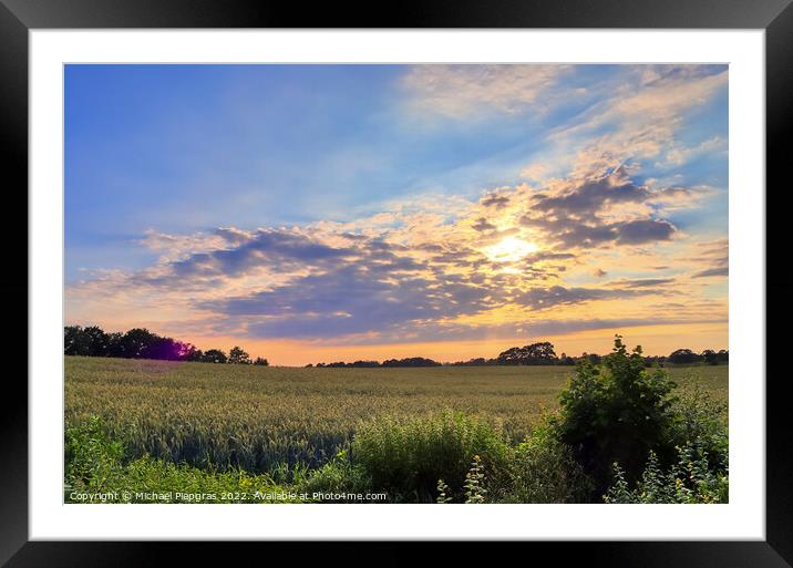 Summer view on agricultural crop and wheat fields ready for harv Framed Mounted Print by Michael Piepgras