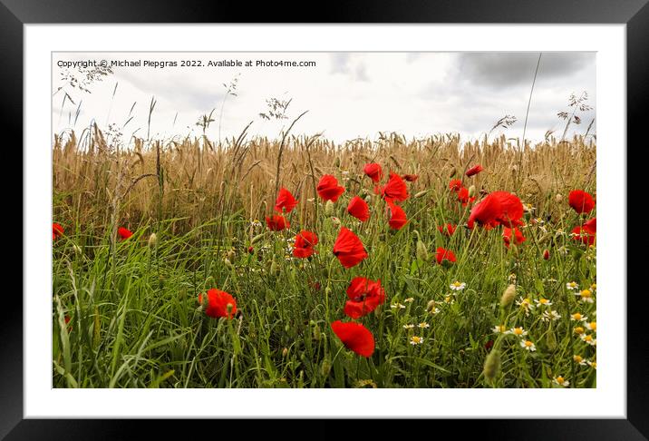 Beautiful red poppy flowers papaver rhoeas in a golden wheat fie Framed Mounted Print by Michael Piepgras