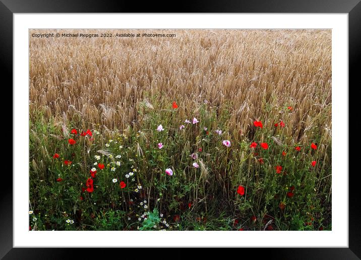 Beautiful red poppy flowers papaver rhoeas in a golden wheat fie Framed Mounted Print by Michael Piepgras