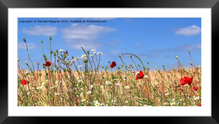 Beautiful panorama of agricultural crop and wheat fields on a su Framed Mounted Print by Michael Piepgras