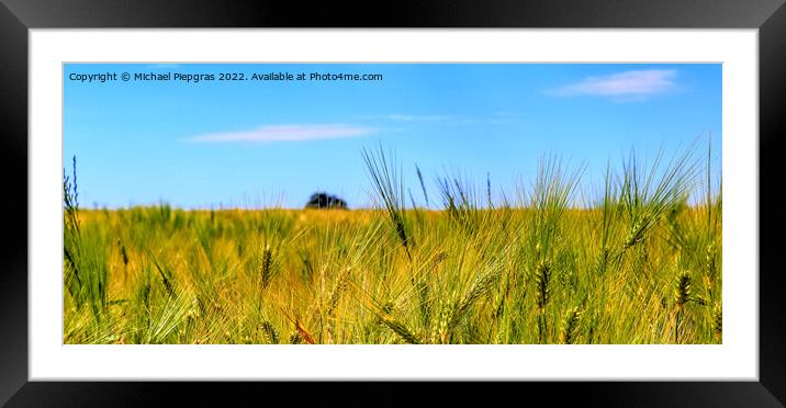 Beautiful panorama of agricultural crop and wheat fields on a su Framed Mounted Print by Michael Piepgras