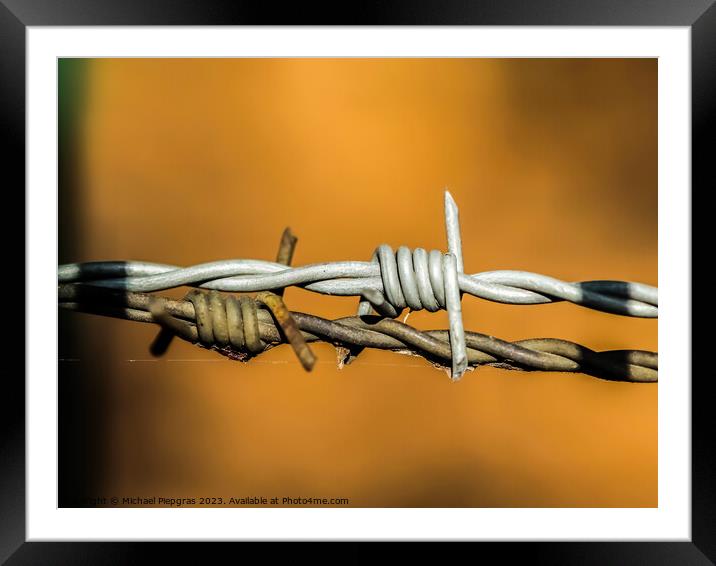 Barbed wire on with a soft focus bokeh in the background. Framed Mounted Print by Michael Piepgras