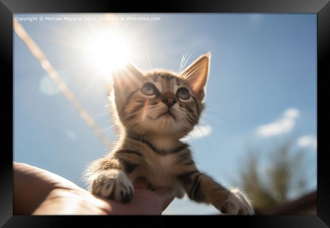A human hand holds a small kitten in the air sunlight from the f Framed Print by Michael Piepgras