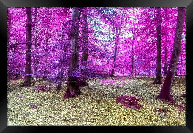 Beautiful pink and purple infrared panorama of a countryside lan Framed Print by Michael Piepgras