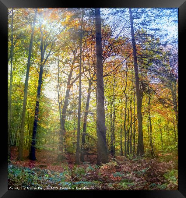 View into a vibrant and colorful autumn forest with fall foliage Framed Print by Michael Piepgras