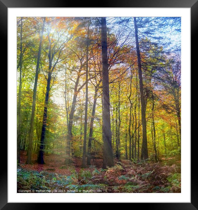 View into a vibrant and colorful autumn forest with fall foliage Framed Mounted Print by Michael Piepgras