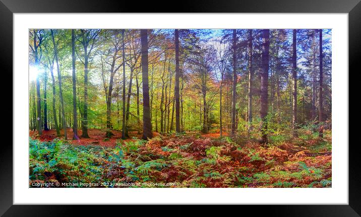 View into a vibrant and colorful autumn forest with fall foliage Framed Mounted Print by Michael Piepgras