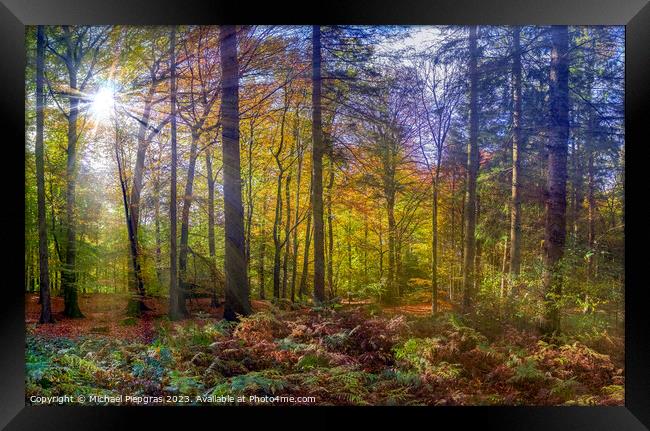 View into a vibrant and colorful autumn forest with fall foliage Framed Print by Michael Piepgras
